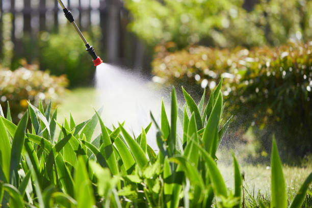 24/7 Emergency Mosquito Control experts in Lebanon South, PA